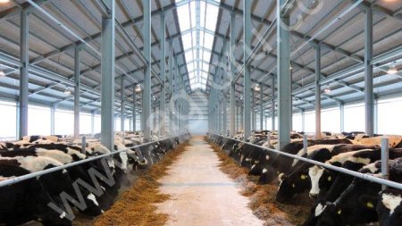 Строительство коровника