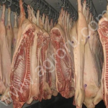 мясо <span>свинина</span> от производителя
