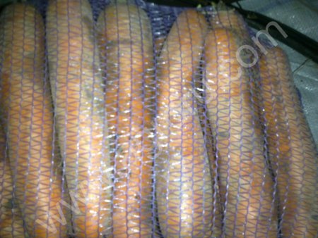 Морковь на корейку