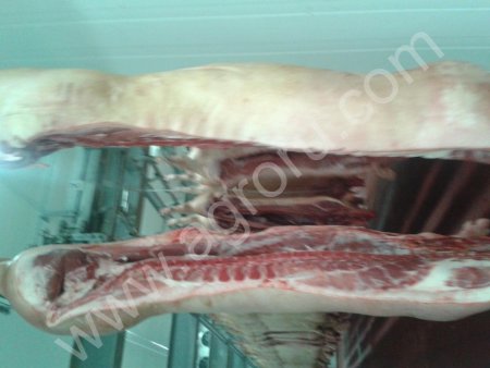 Свинина в полутушах, оптом от производителя