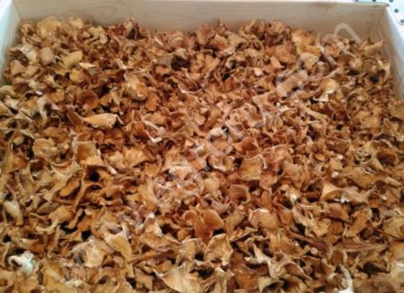 Лисичка сушеная