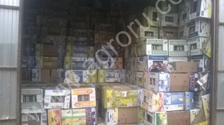 Ящики банановые