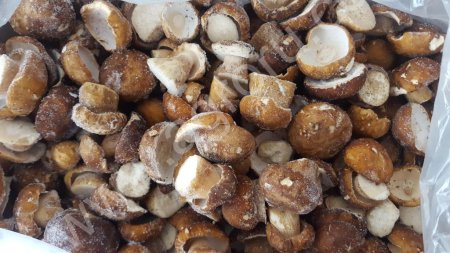 Замороженные ягоды/грибы/овощи