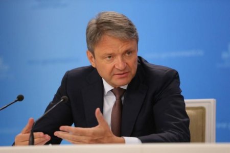 Краткий обзор зернового рынка