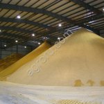 Пшеница 3 класс