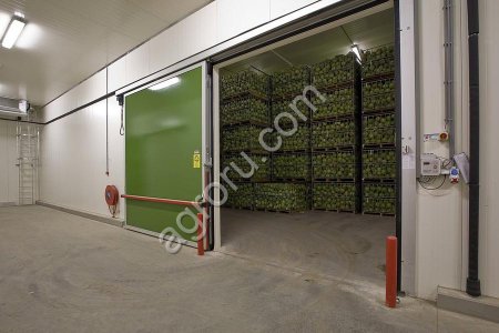 Холодильная камера для овощей