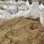 Сухая пивная дробина