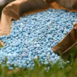 АЗОФОСКА NPK 15:15:15+10 серы