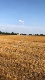 Фермерское хозяйство 13 гектар