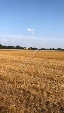 Фермерское хозяйство 13 гектар