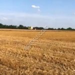 Фермерское хозяйство 13 гектар