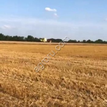 Фермерское хозяйство 13 гектар