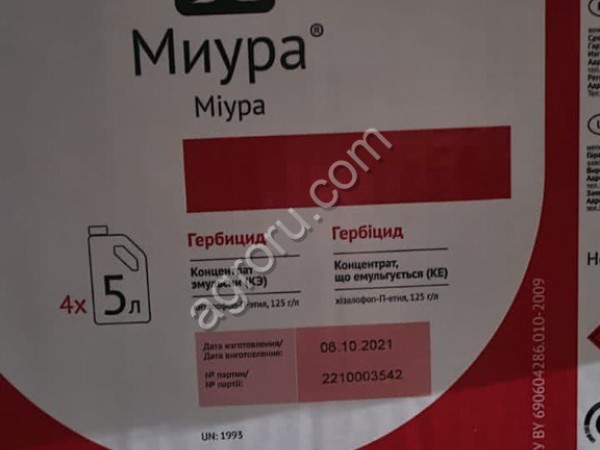 Миура