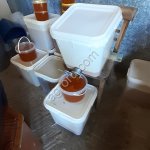 Мёд цветочный