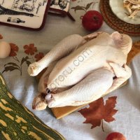 Птица, Мясо