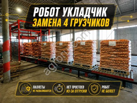 Паллетоукладчик / Паллетайзер / Замена 4 грузчиков