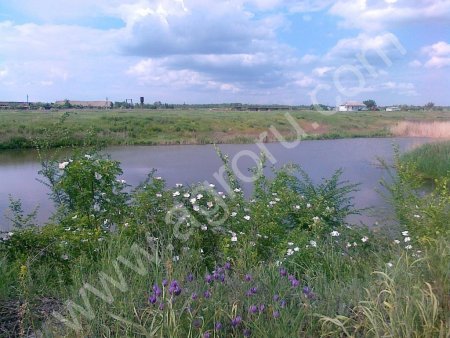 фермерское хозяйство