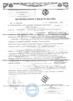 Тушенка говяжая