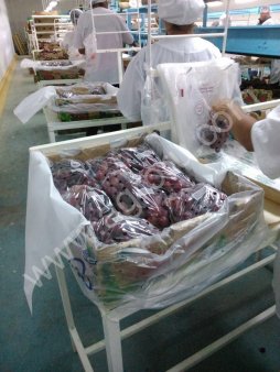 Виноград Red Globe (Перу)