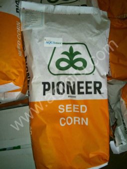 семена подсолнечника технология экспресс