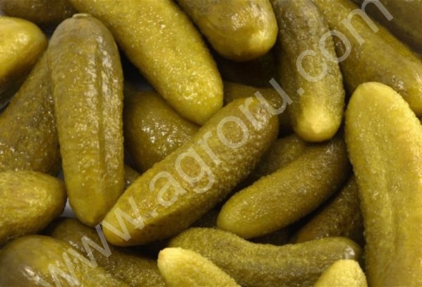 СОЛЕНЬЯ,капуста ,огурцы,томаты