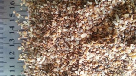 Ракушка кормовая каспийская подвергнутая обработке