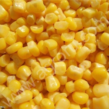 <span>кукуруза</span> оптом урожай 2014г