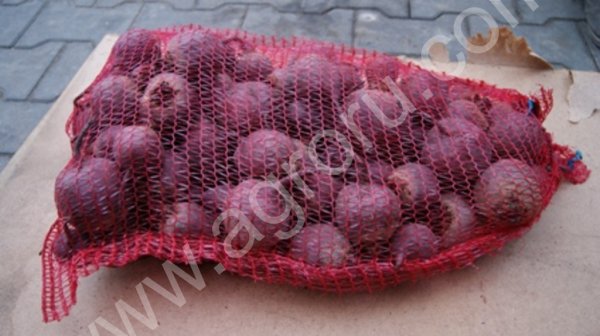 Свекла мытая