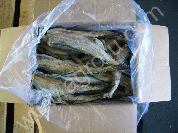 Салака, треска, пикша, корюшка, зубатка, мойва