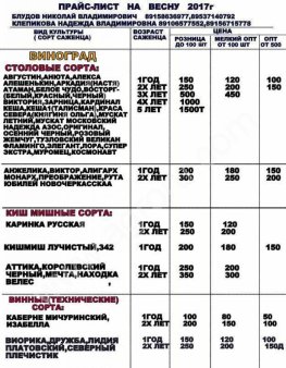 САЖЕНЦЫ ВИНОГРАДА