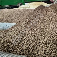 Картофель органический Винета