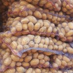 Продовольственный картофель