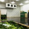 Холодильные и Морозильные Камеры для Хранения Продуктов.