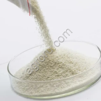 Протеаза (Декозим)