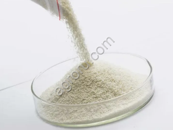 Протеаза (Декозим)