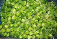 Брюссельская капуста замороженная
