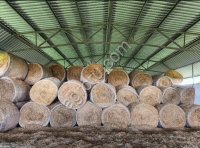 Сено в рулонах Люцерна