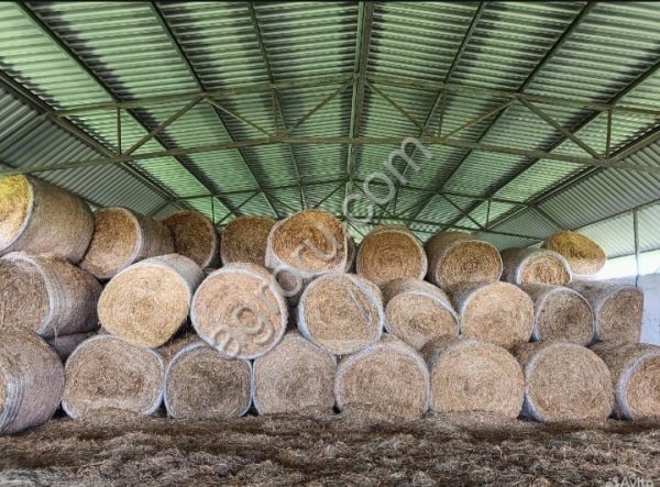 Сено в рулонах Люцерна