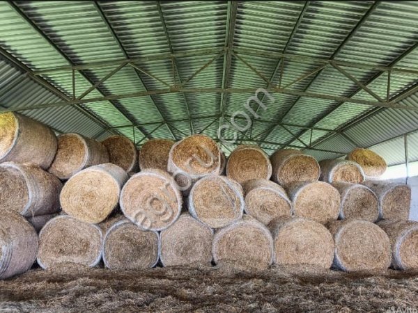 Сено в рулонах Люцерна
