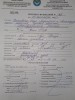 Семена лука МАНАС КАТИНКА БОНУС 2025