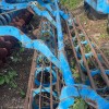 Борона LEMKEN Rubin
