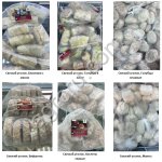 Замороженные полуфабрикаты
