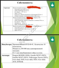 часть развивающегося бизнеса