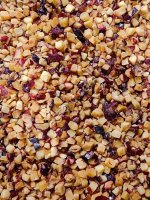 Слива замороженная c косточкой, кубик, половинка