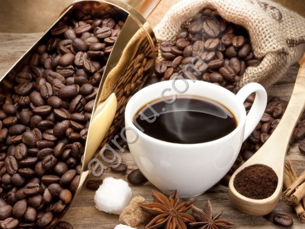 Просрочка. Кофе в зёрнах зелёный , Кофе в зёрнах обжаренный.