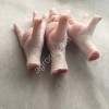 Куриная лапка