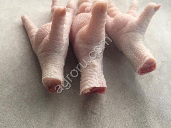 Куриная лапка
