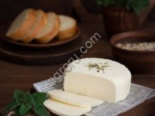 Сыр овечий
