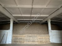 Картофель скарб