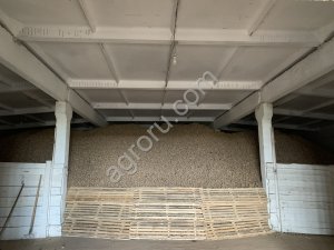 Картофель скарб